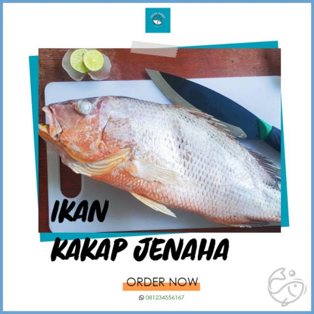 

Ikan kakap jenaha