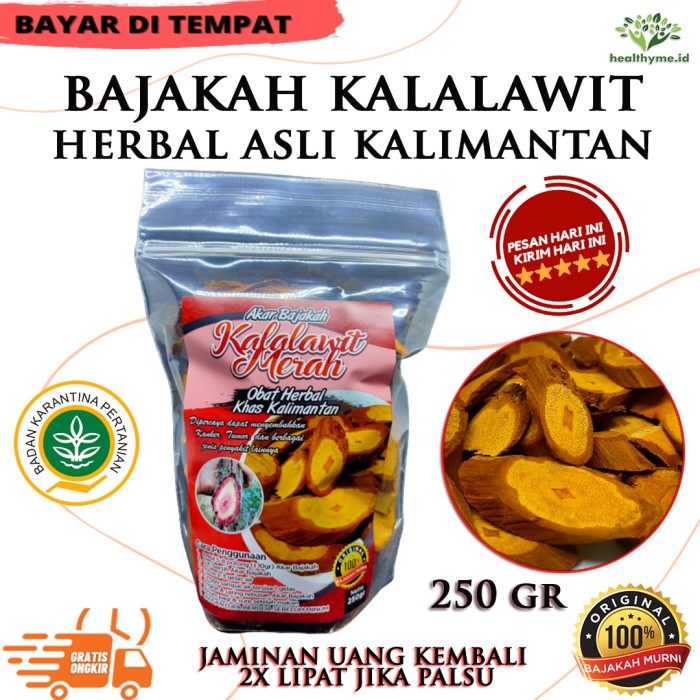 

Akar Bajakah Merah Kalalawit Asli Kalimantan 100% ORIGINAL - 250 GR