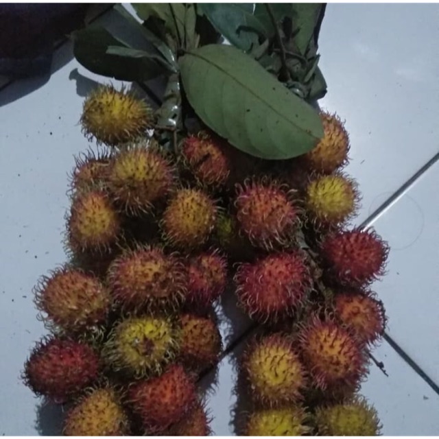 

Rambutan