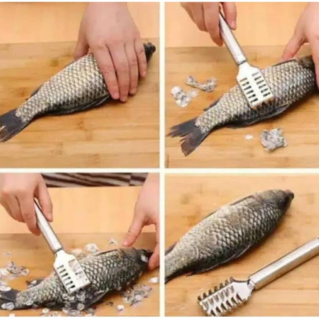 Pengupas Pengikis Sisik Ikan Fish Scale Remover