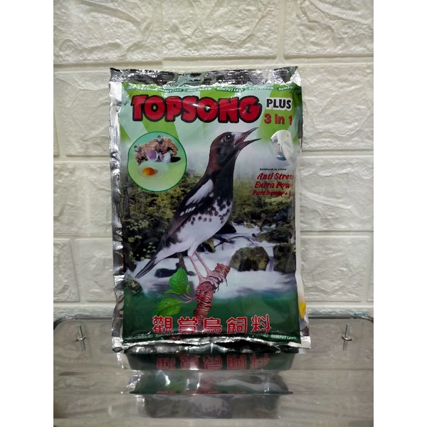 Top Song voer Burung Murai Batu Kacer Jalak Cendet Trucuk Anis Merah