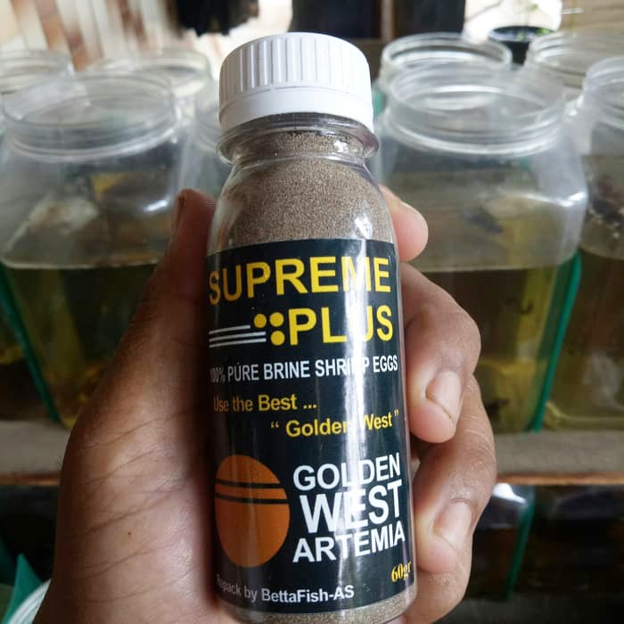 Artemia Supreme Plus 10Gram 20Gram 30Gram 40Gram 50gram Artemia Burayak Kultur Cupang Koi Koki Guppy