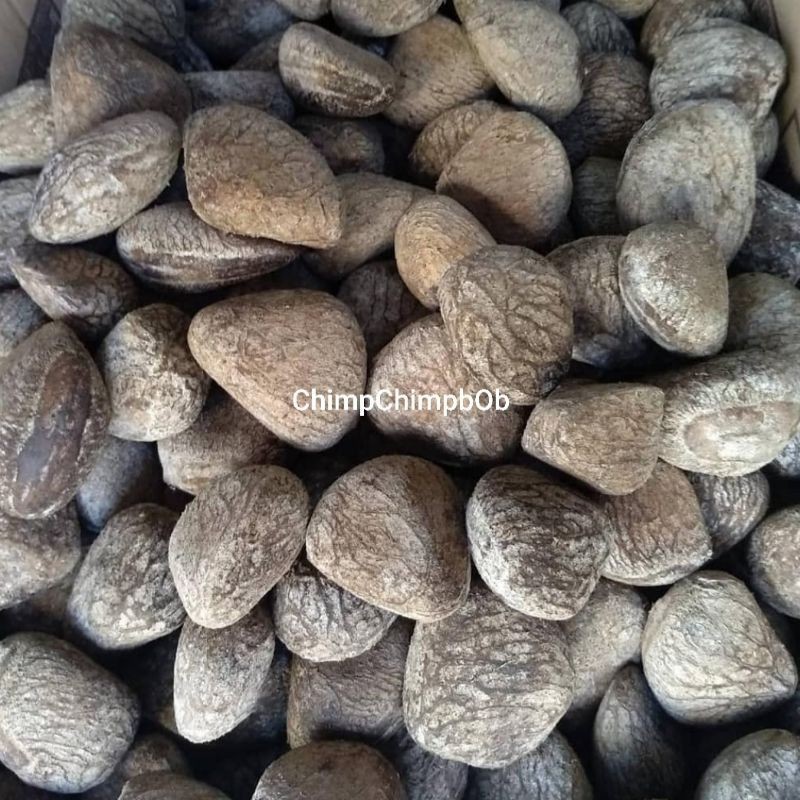 

KLUWEK / KLUWAK / PICUNG / KAPECONG / SIMAUNG SEGAR 500 GRAM / PACK