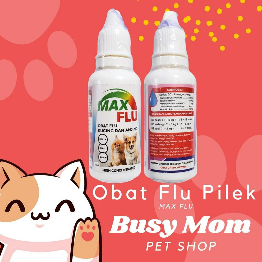 MAX Flu Obat Flu Kucing &amp; Anjing