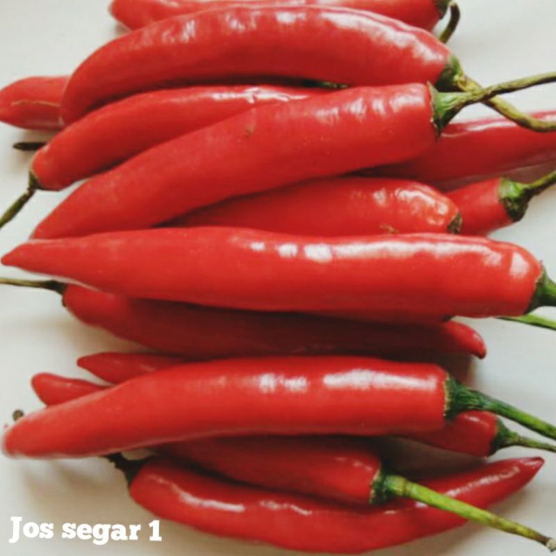 

TW MERAH BESAR