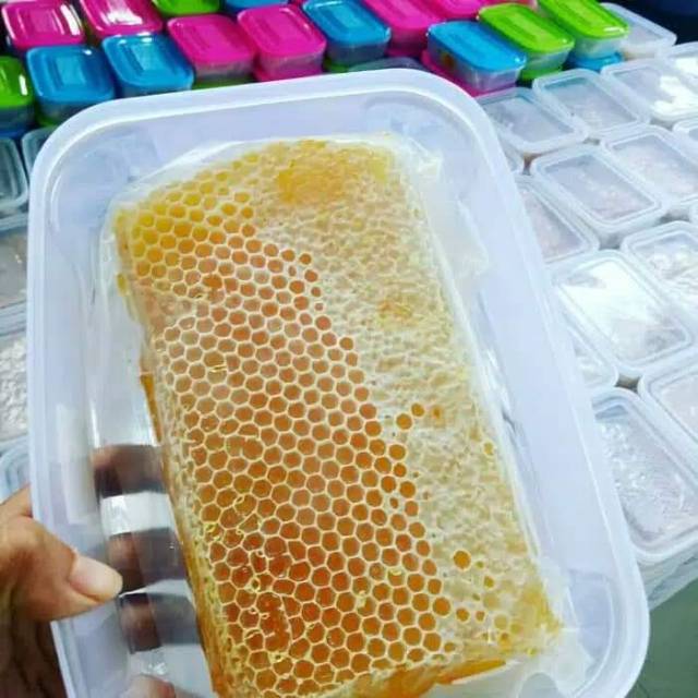 

Madu Sarang Apis Melifera Premium (500 gr) - RAW HONEY