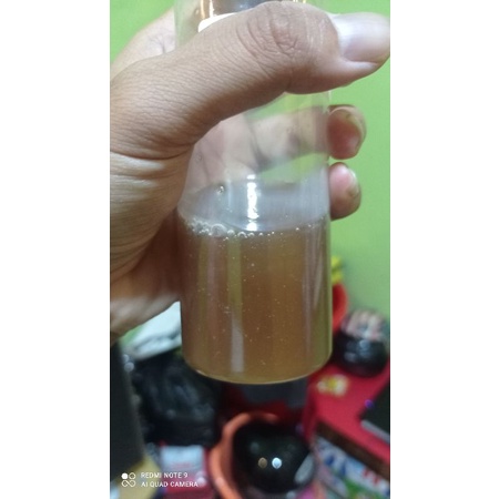 oplosan usar madu