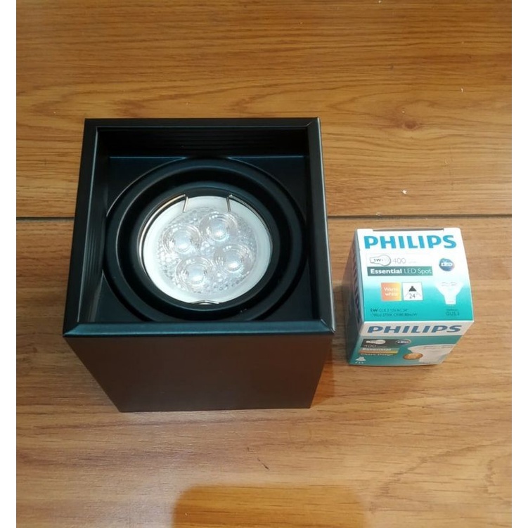 Downlight outbow LED PHILIPS 12V 5W utk taman