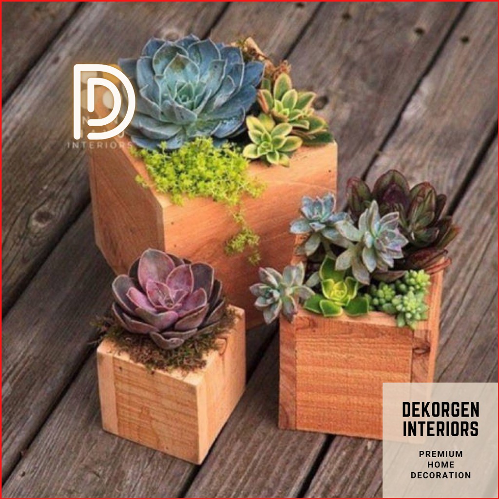 Rak Bunga Pot Bunga Vas Bunga Kayu Rak Kayu Sukulen Pot Kayu Kaktus Minimalis Dekorgen