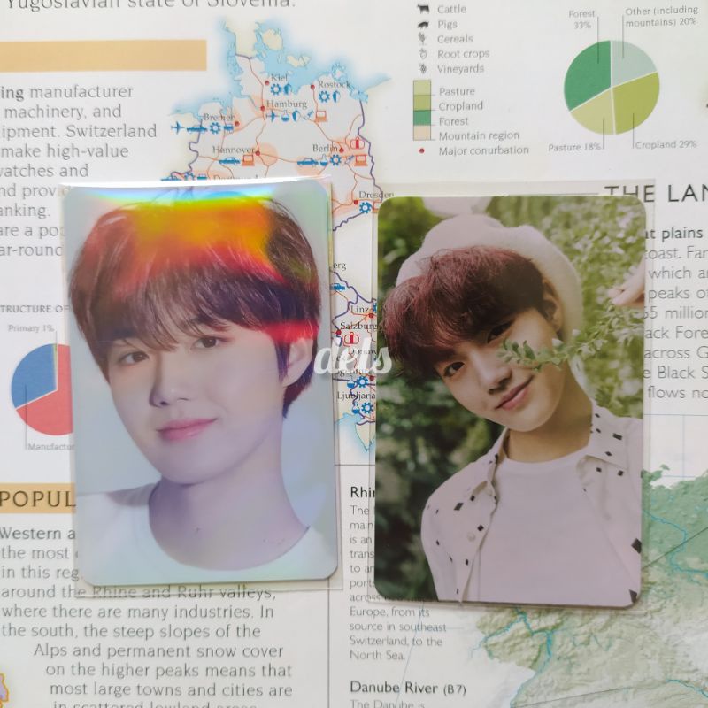 Photocard Doyoung Manyo Event 1 + Doyoung Kebun Ch3
