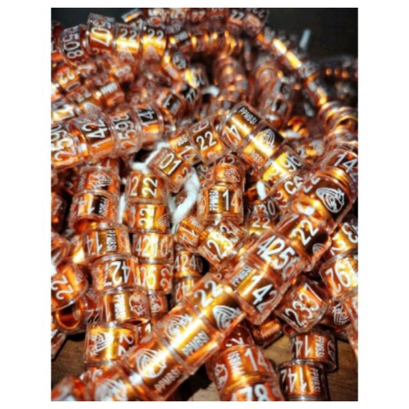 RING MERPATI PPMBSI 2022 (10 PCS)