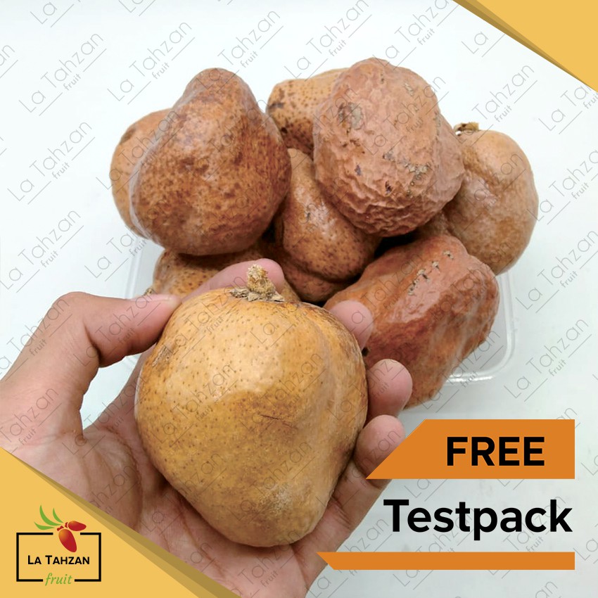 Buah Zuriat/Doum Mesir Paket 8 Pcs  Free Testpack Original