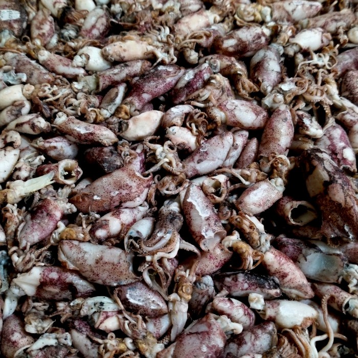 

cumi baby asin medan kecil ukuran 2/3cm(500grm)