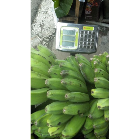 Pisang Kepok Putih Makanan Burung