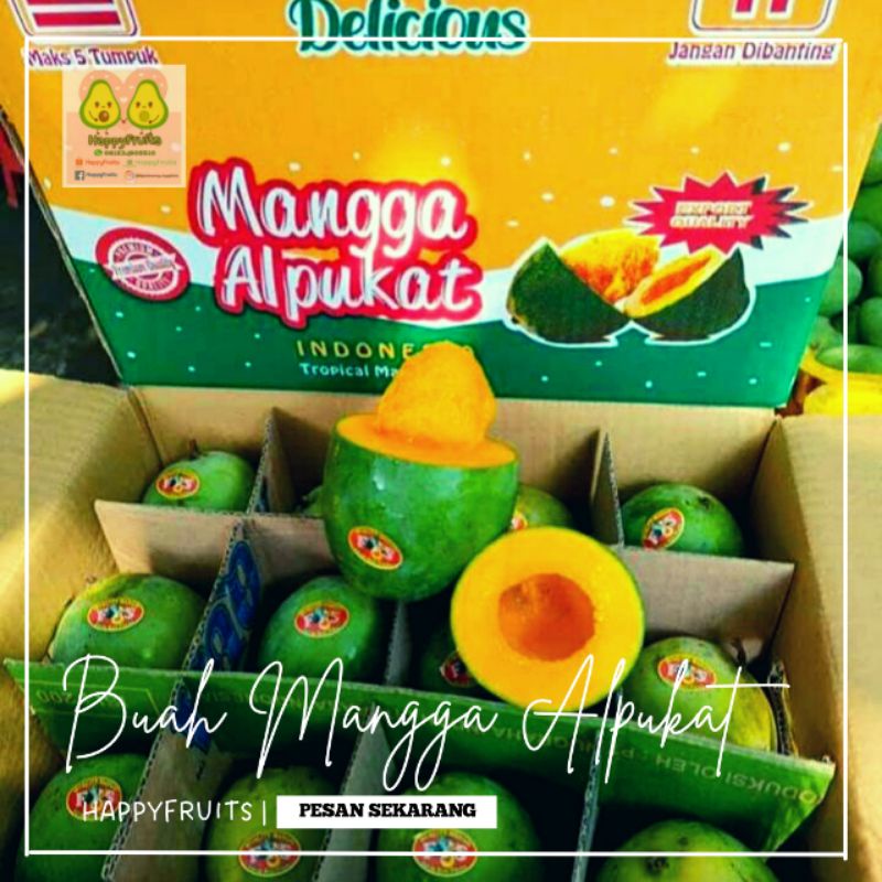 

BUAH MANGGA ALPUKAT 1 DUS 5KG HAPPYFRUITS