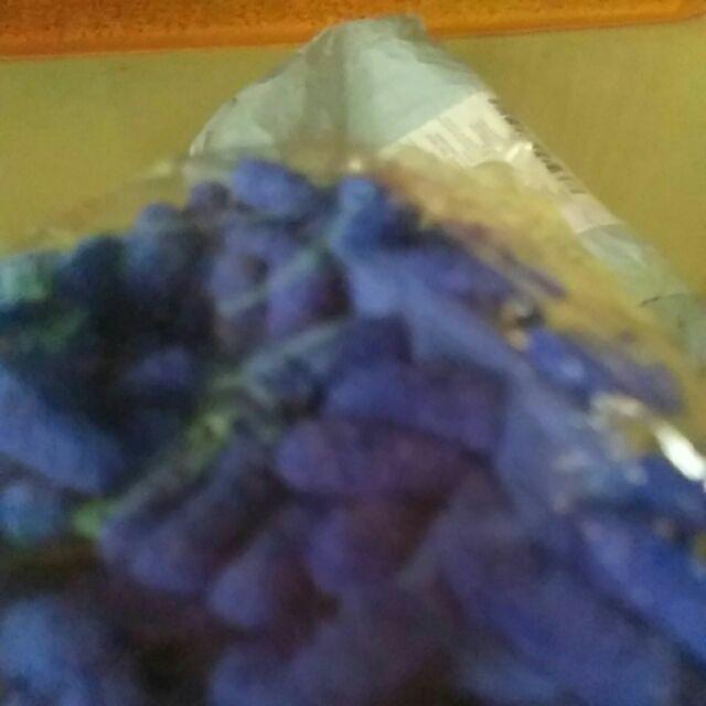 Kasimurah K168 Sepatu Sandal Pel Cendol / Sandal Selop Pel Pembersih Debu Reusable Import Grosir