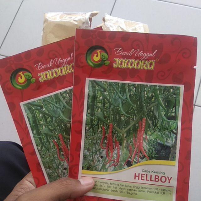 Bibit Cabe Keriting Hellboy Isi 5 Gram | Benih Cabe | Bibit Cabai Keriting | Bibit Unggul