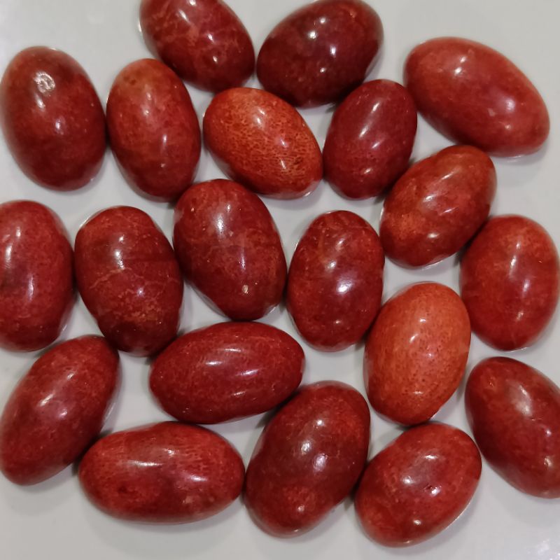 Batu Red Marjan Mesir natural alam