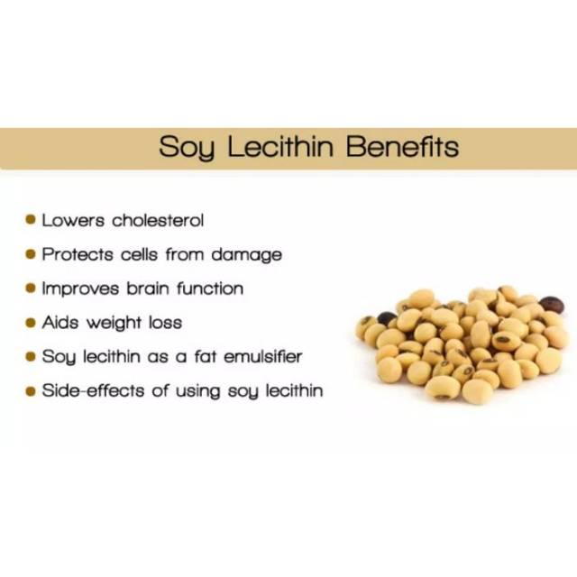 Harga Lecithin Food Terbaru April 2023 BigGo Indonesia