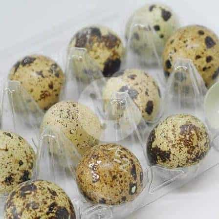 

Telur Puyuh 1 Kotak Isi 30