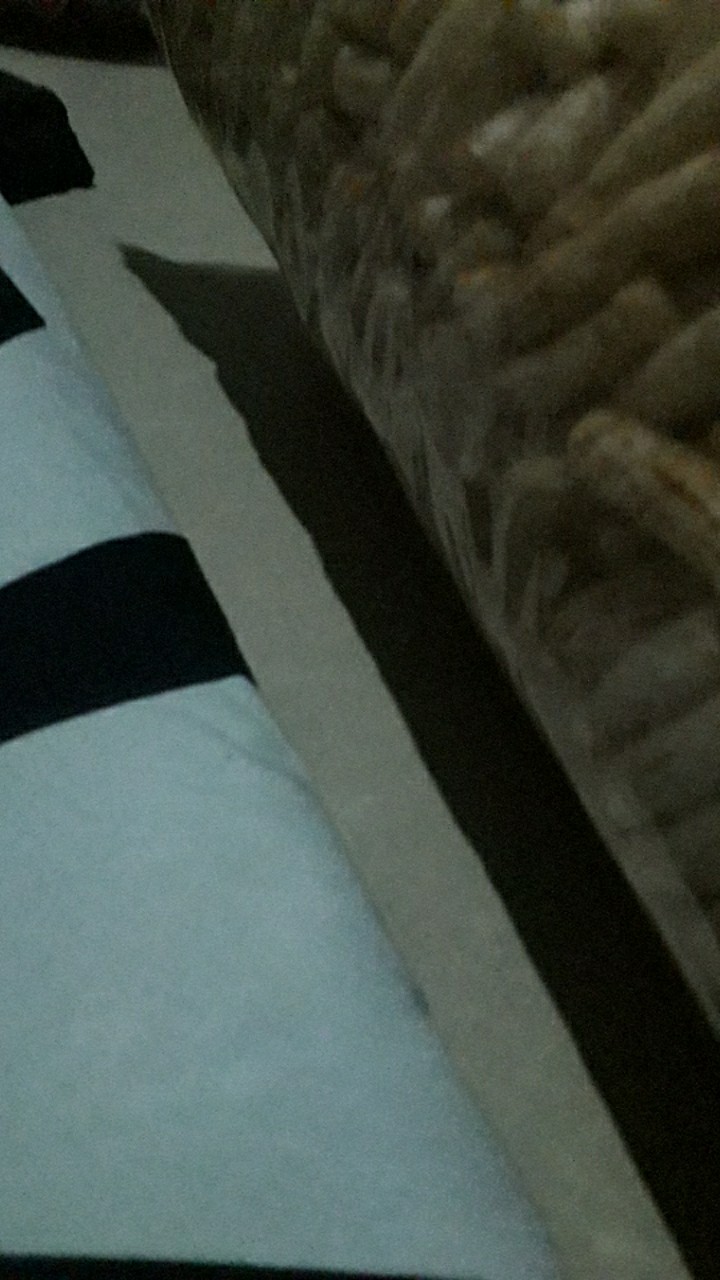 Kantong Plastik Klip 20x30 Clip Ziplock Zipper Pouch [eceran] / Kantong Plastik Klip Emas Obat Saus