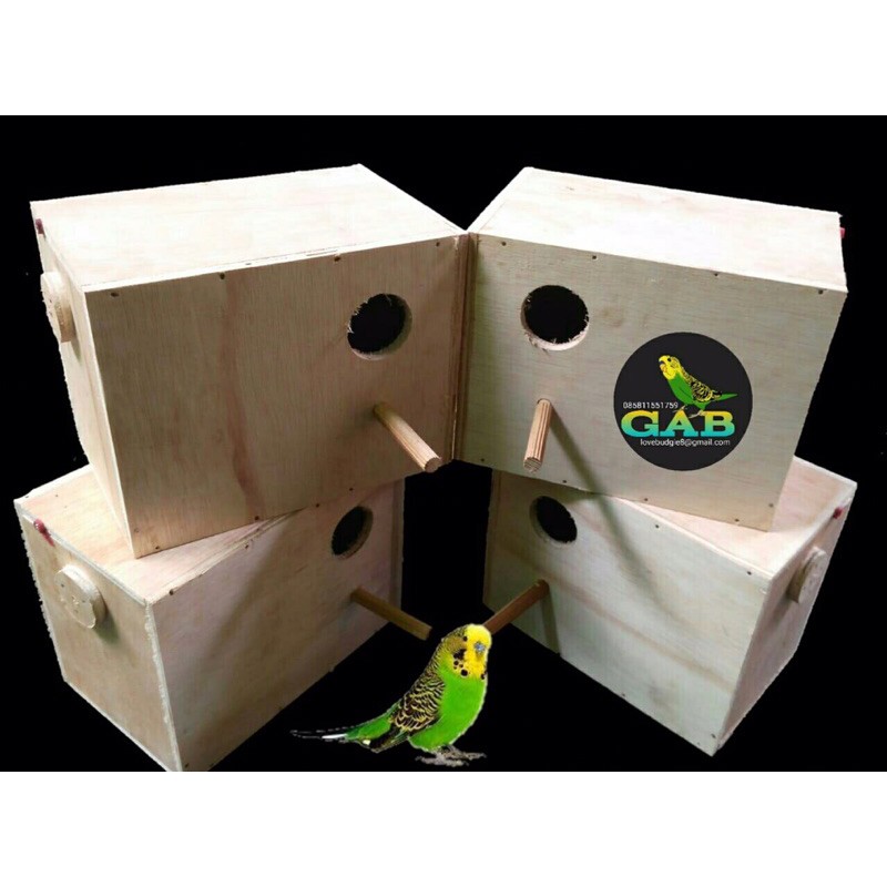 GLODOK PARKIT/BUDGIE burung lainnya