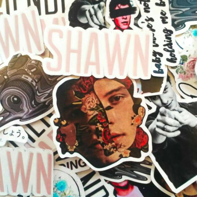 

Shawn Mendes Waterproof Sticker Pack include 12 pcs Aesthetic