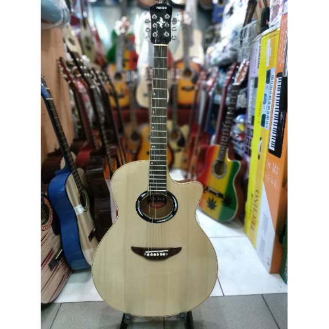 Yamaha APX 500ii Custom