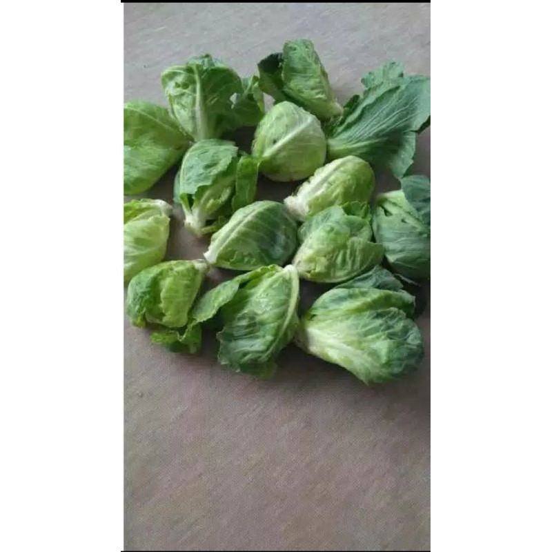 

cuciwis sayur segar 500gr