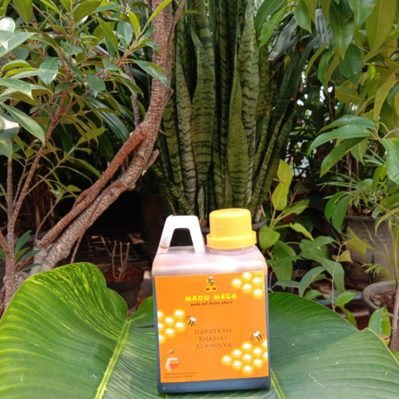 

Madu Mega madu hutan asli