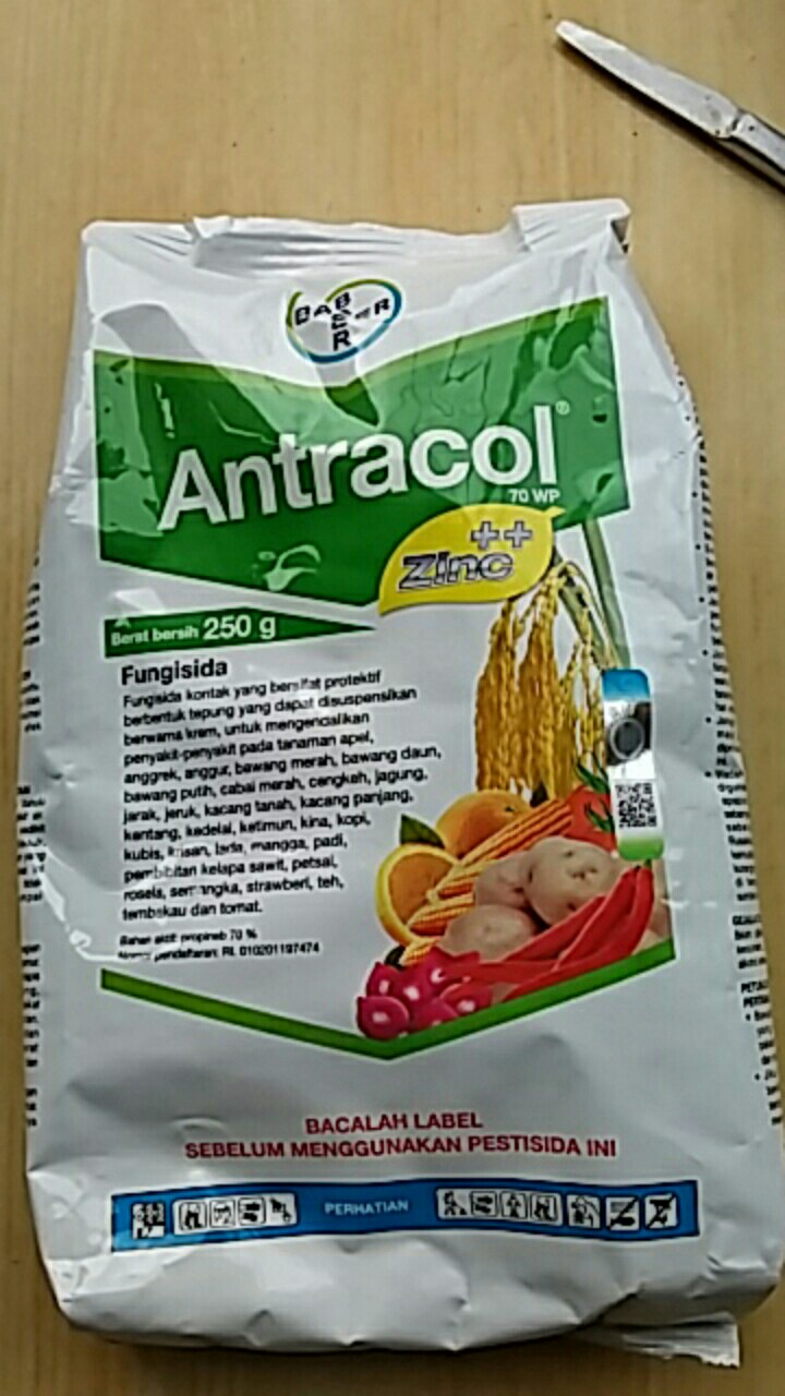 Fungisida Antracol 70 Wp Zinc Kemasan Pabrik 250 Gram