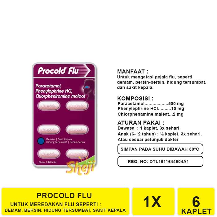 OBAT PROCOLD FLU ISI 6 KAPLET