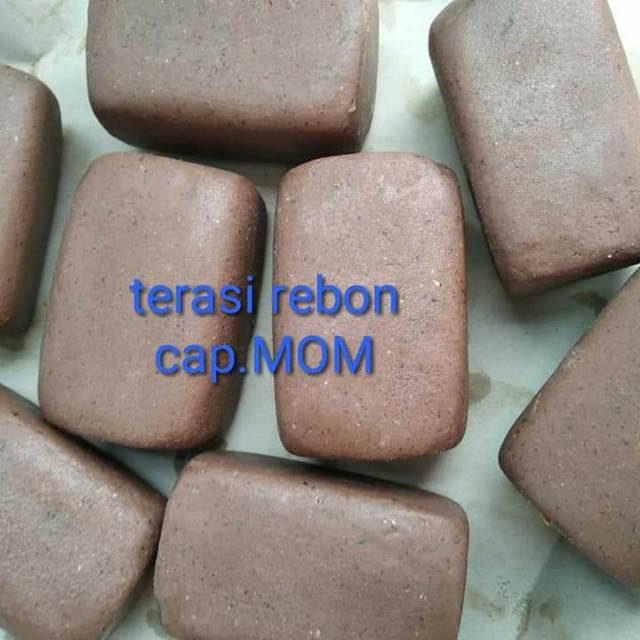 

Terasi rebon