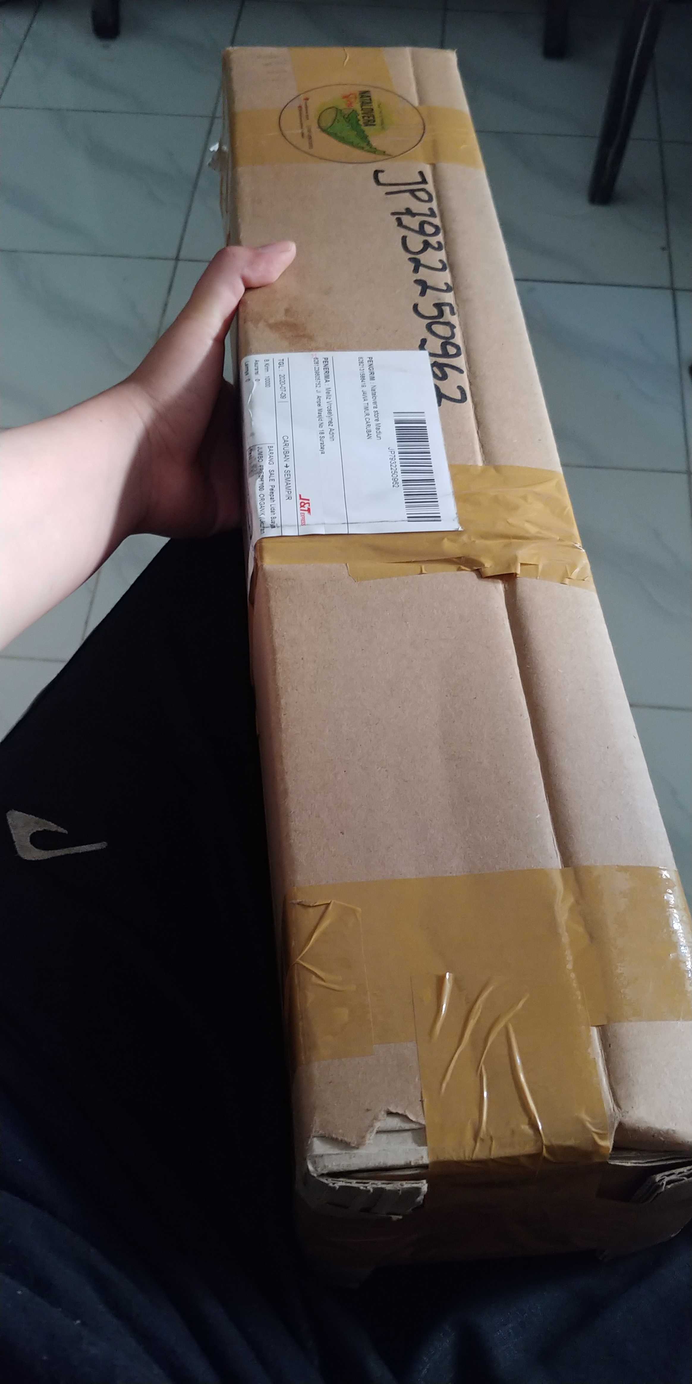 Sale! Pelepah Lidah Buaya Jumbo & Fresh 100% Organik (600-750gr)