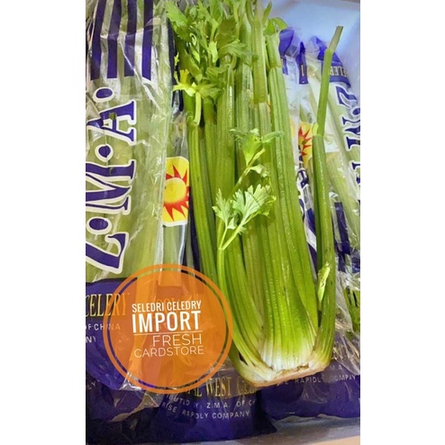 

Seledry Celedry Import Fresh Segar - 1 Kg
