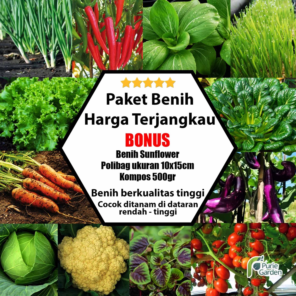 Paket Bibit / Benih 25 Jenis Sayur dan Buah PG KDR