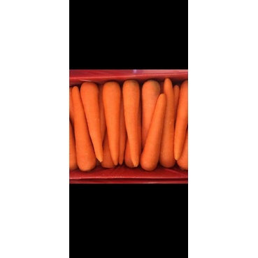 

Wortel Berastagi Fresh