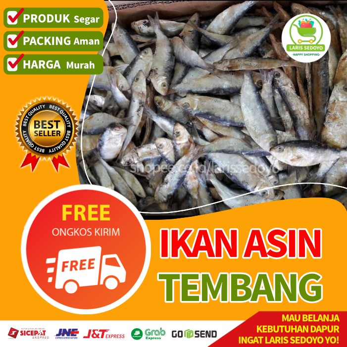 

Ikan Teri Tembang Segar 500 gram Lauk Pauk Jakarta Tangerang