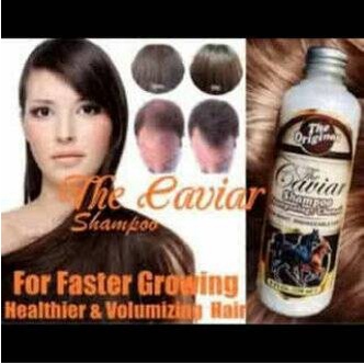 Shampo Sampo Kuda Caviar Pemanjang Rambut Perawatan Penumbuh Penyubur Rambut Botak Rontok Rusak