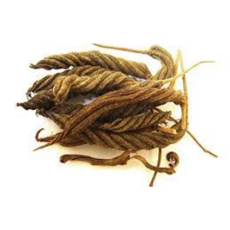 

Lada Putar/Cabe Ules/Cabe putar