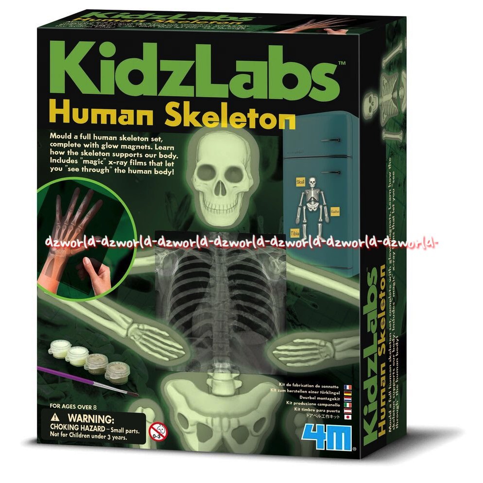 Kidzlabs Glow Human Skeleton mainan untuk merakit set kerangka manusia miniatur yang bersinar