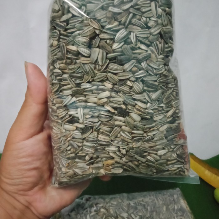 

Biji Bunga Matahari 500 gram