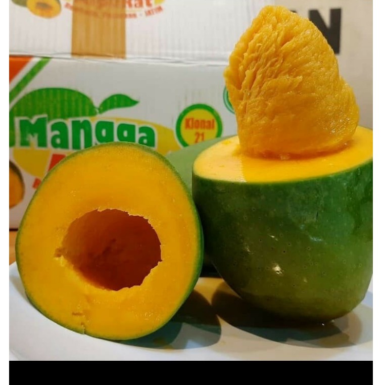 

Mangga Alpukat