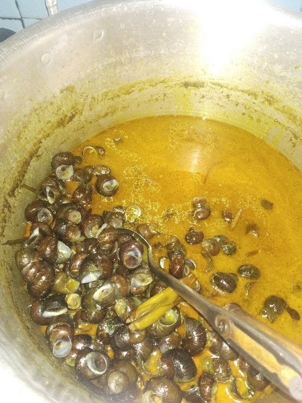 Payung Anak Karakter 8 Sisi Bahan Pvc Merk Osaka