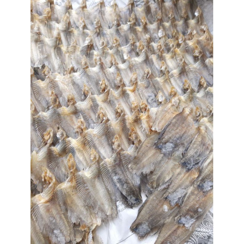

ikan asin sapat kering khas kalimantan