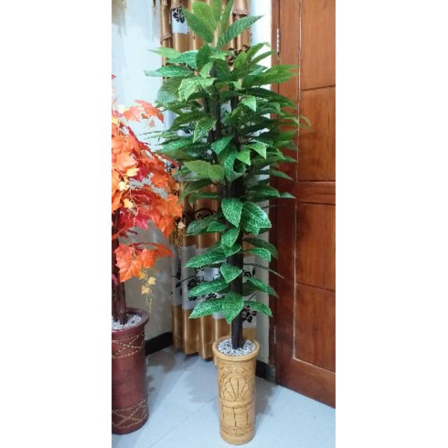 Daun mangga hijau sintetis, batang kayu asli, pot.