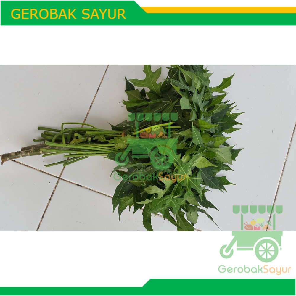 

Daun Pepaya Jepang