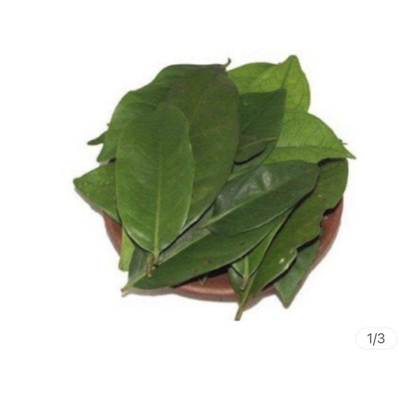 

Daun Salam bumbu dapur per pack