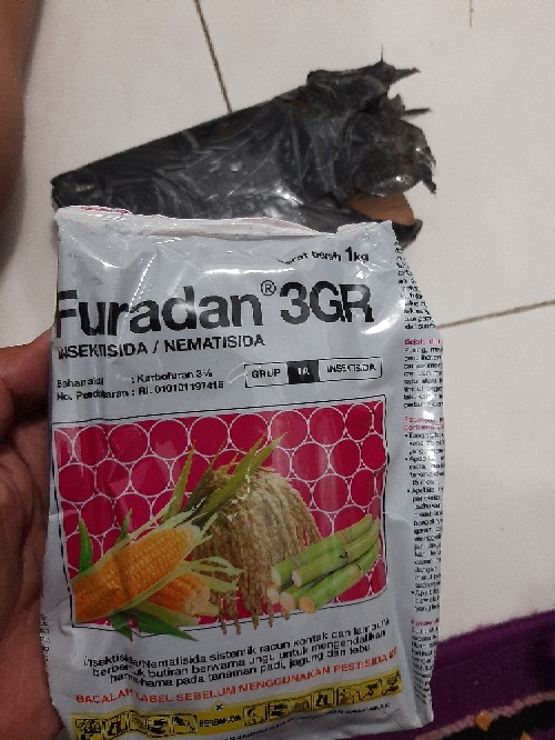 Insektisida Furadan 3gr (1kg) Untuk Mengendalikan Hama