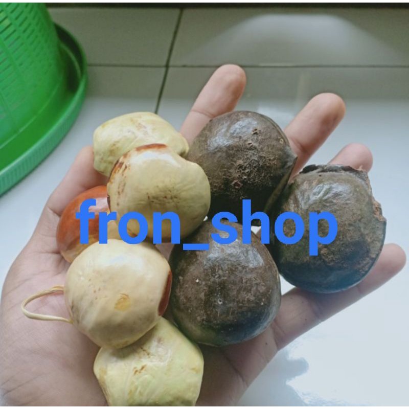 

Jengkol Tua Segar 500gr | Jengkol Mentah Kupas 100%Original (Promo)